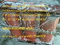 �Ѻ���������ŧ